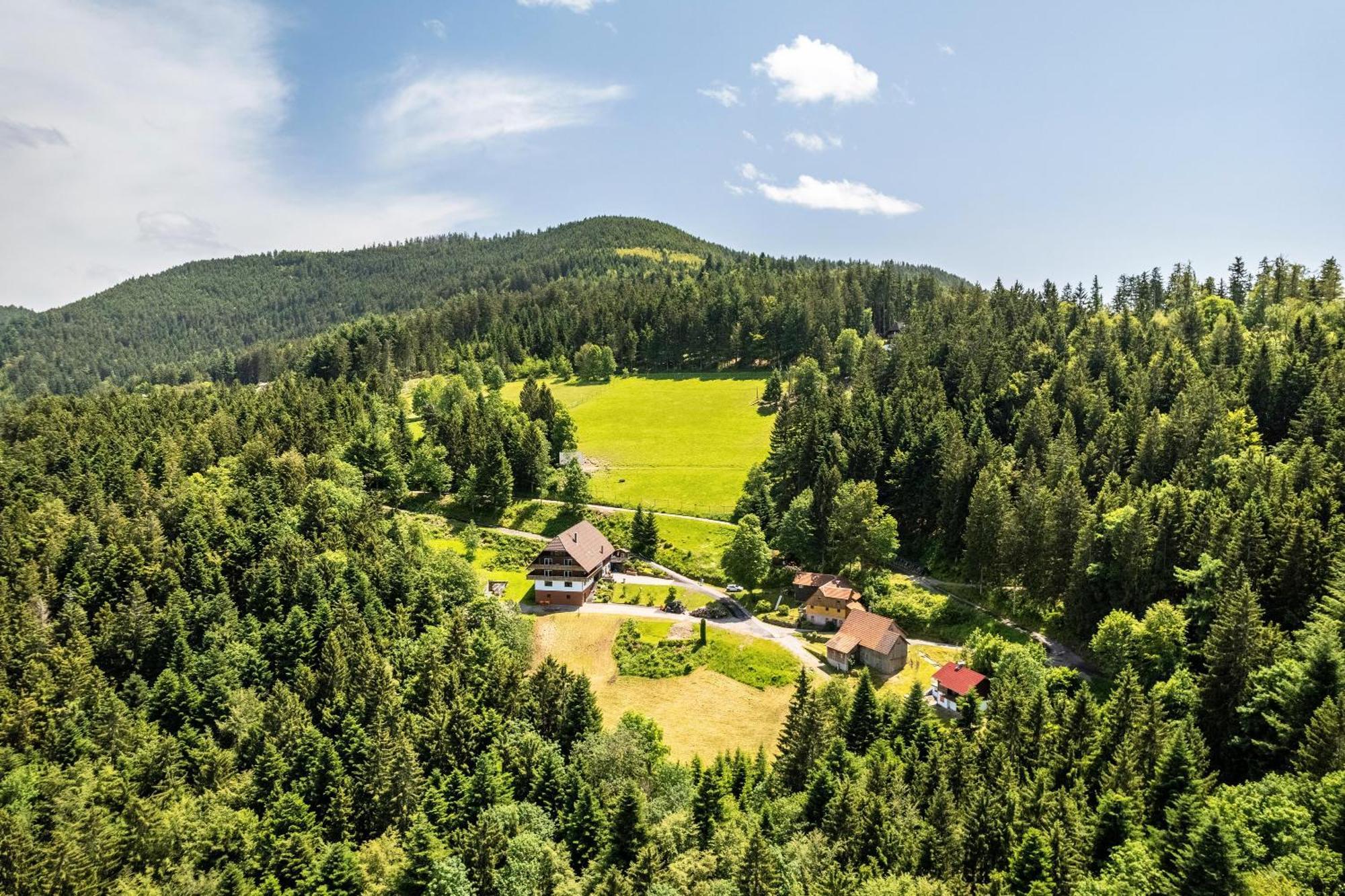 Fuchsmichelhof 2 Appartement Seebach Buitenkant foto
